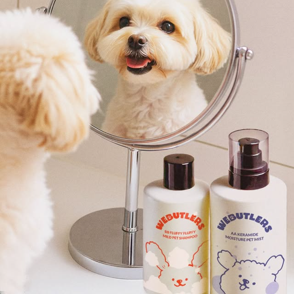 Moisturizing pet mist by AA KERAMIDE – K-beauty inspired formula for pets with dry or sensitive skin. Beautifulsmile cosmetics UK