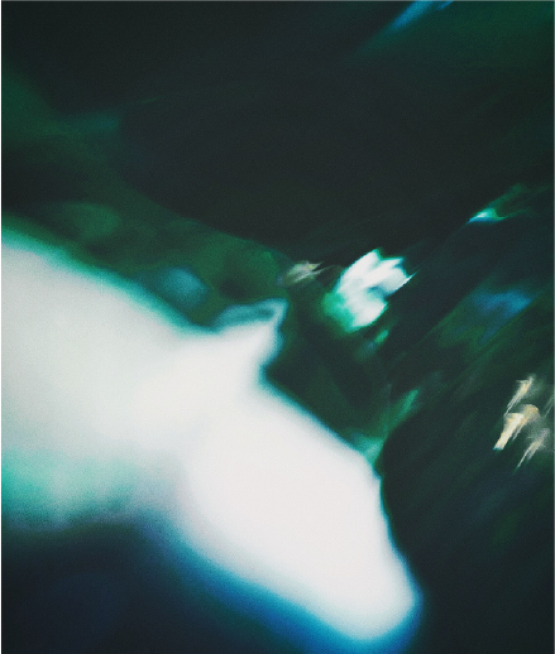LeHedge gallery image 3