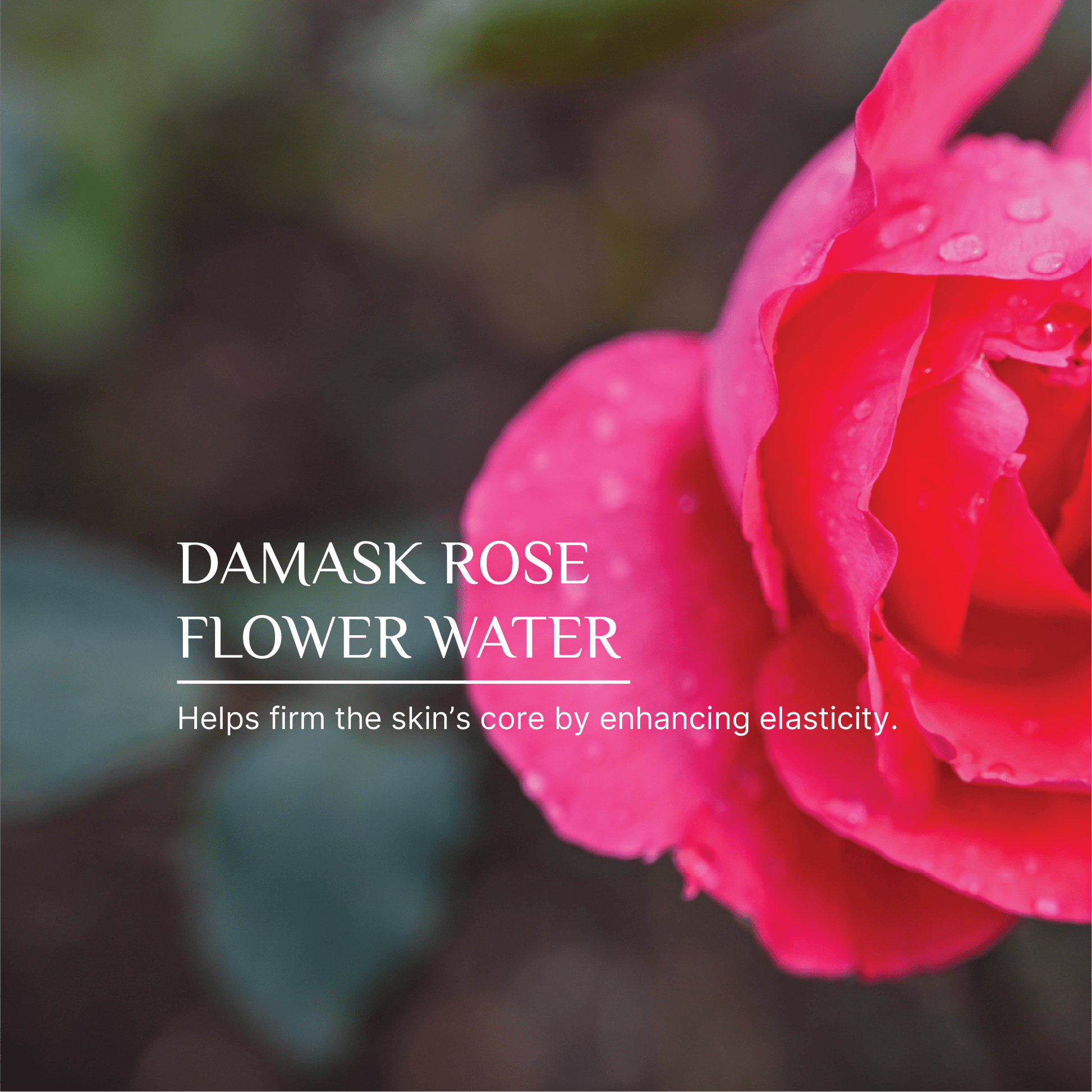 Nourishing face serum designed to improve skin texture and glow naturally