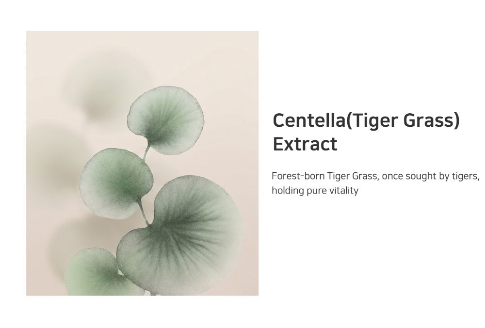 HANYO Centella Toner