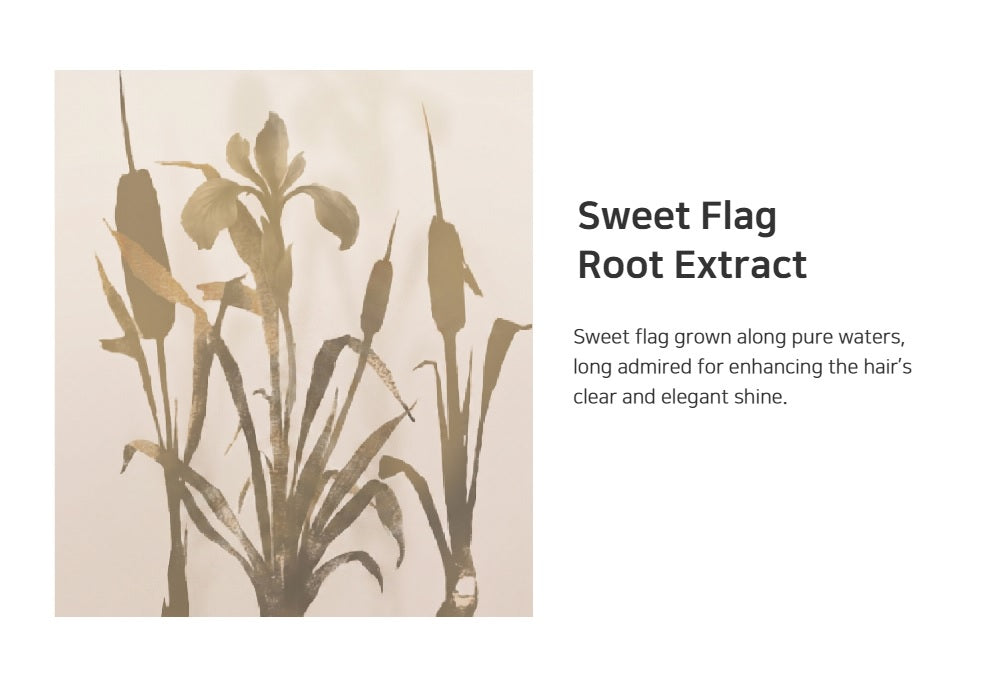 HANYO Sweet Flag Hair Treatment