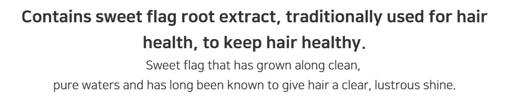 HANYO Sweet Flag Hair Treatment