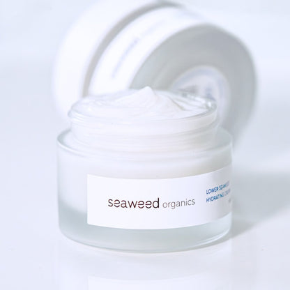 Hydrating seaweed cream in white jar resting on wet stones by the shore