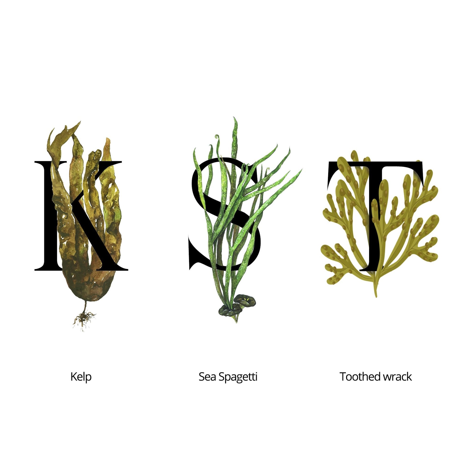 Close-up of pump-top bottle reflecting light beside fresh coastal elements