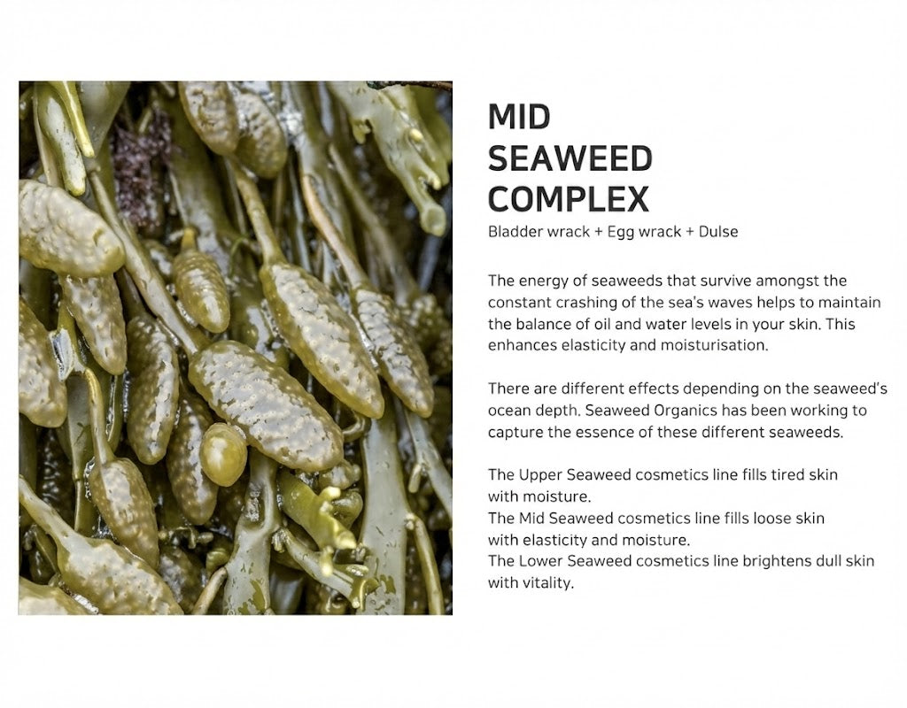Mid Seaweed Rejuvenating Essence
