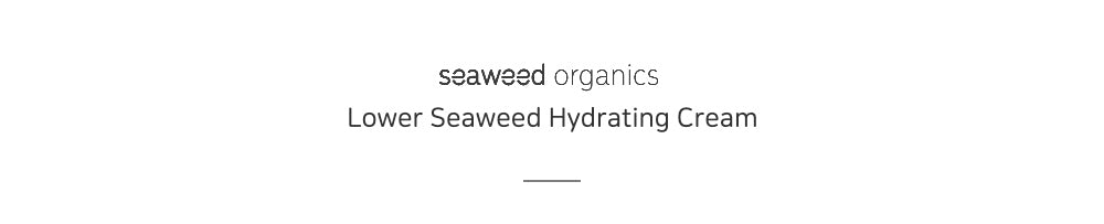 Lower Seaweed Hydrating Cream