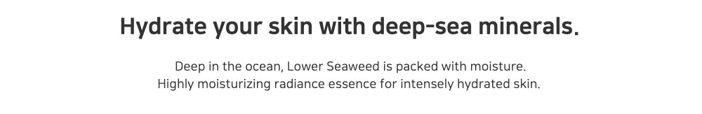 Lower Seaweed Hydrating Essence