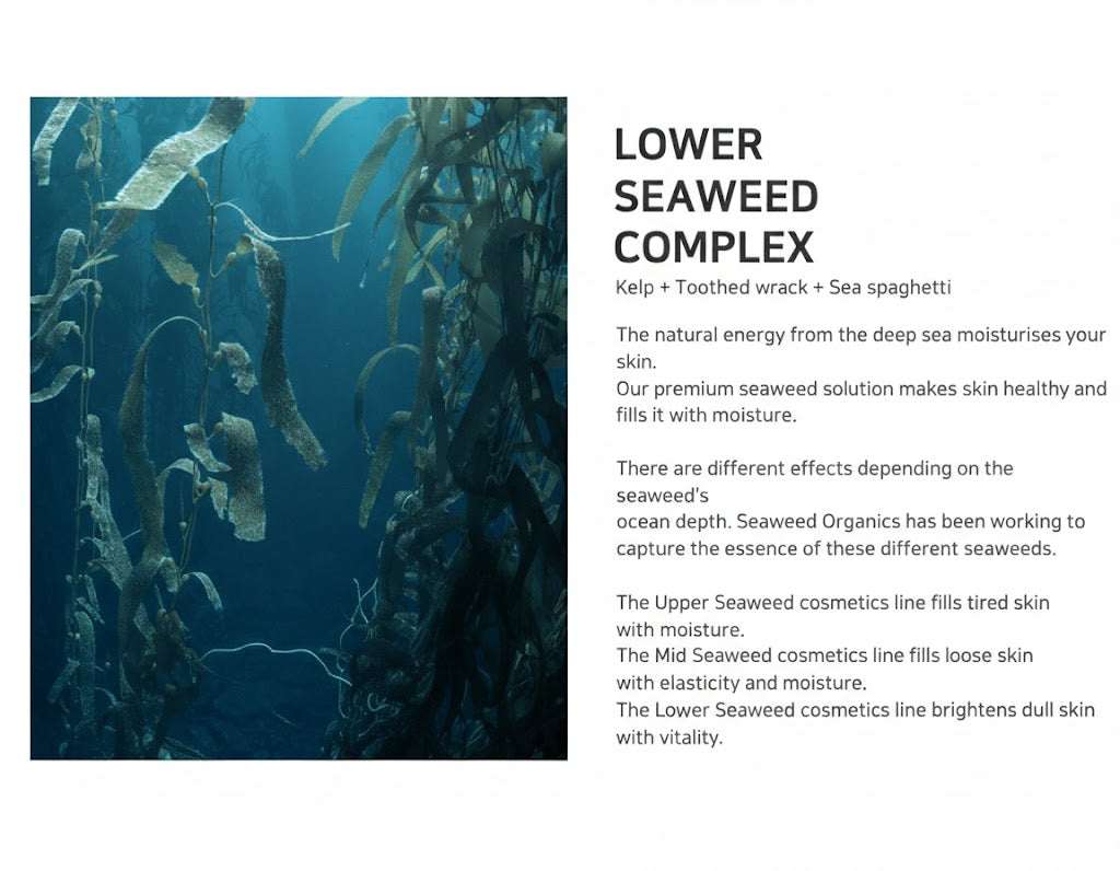 Lower Seaweed Hydrating Essence