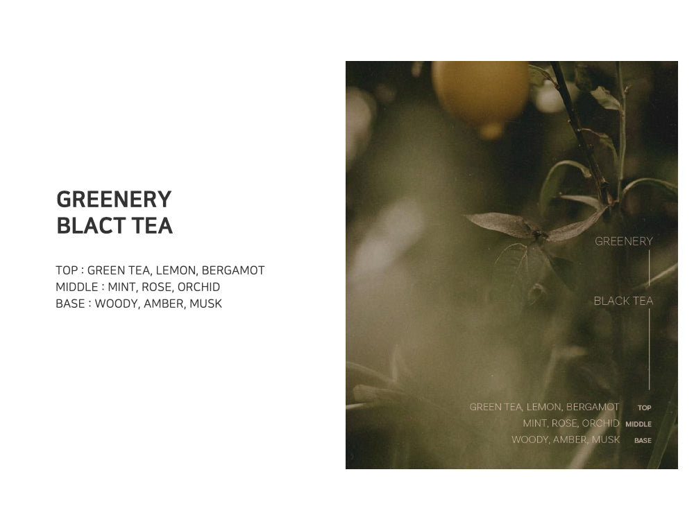 TCLEF BLACK TEA BODY WASH