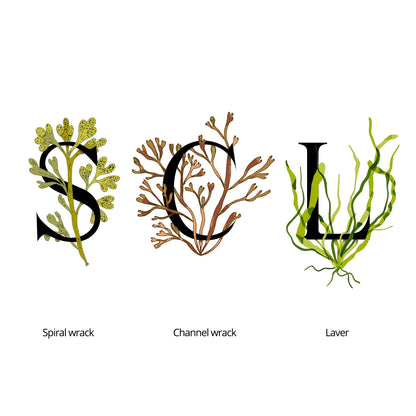 Natural seaweed cream from SEAWEED ORGANICS for long-lasting skin hydration