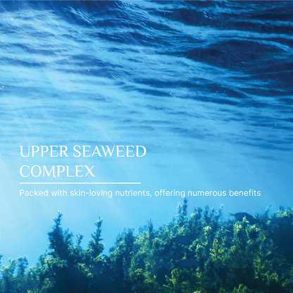 Vegan-friendly seaweed moisturiser for soft, balanced, and calm skin